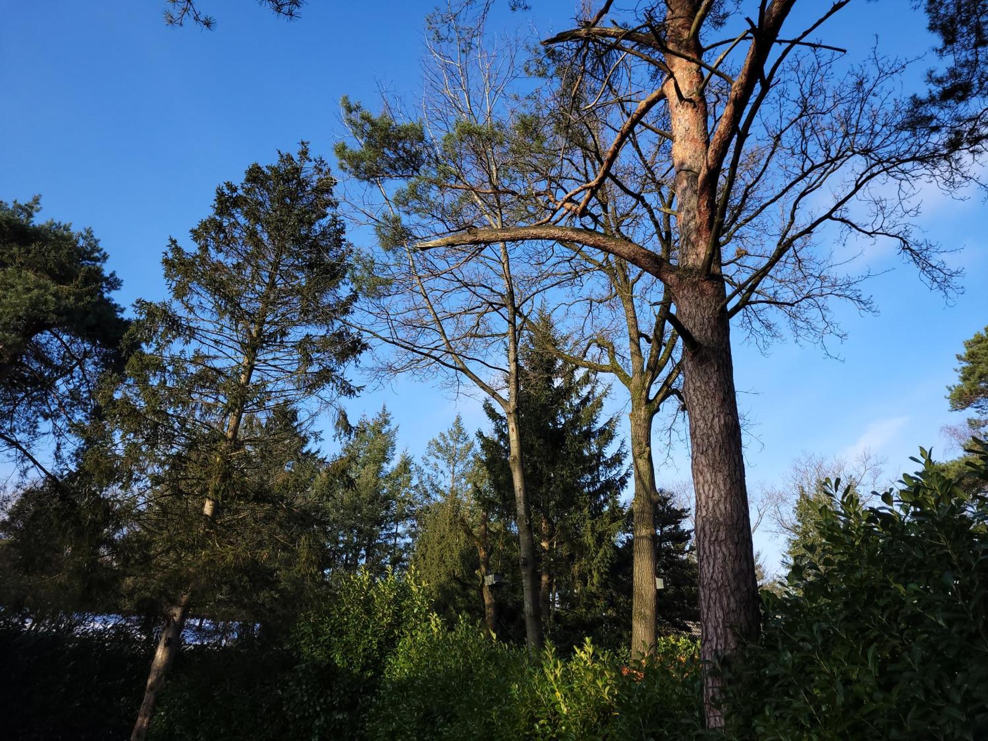 Secret Wellness Puur Natuur Holten Exteriér fotografie