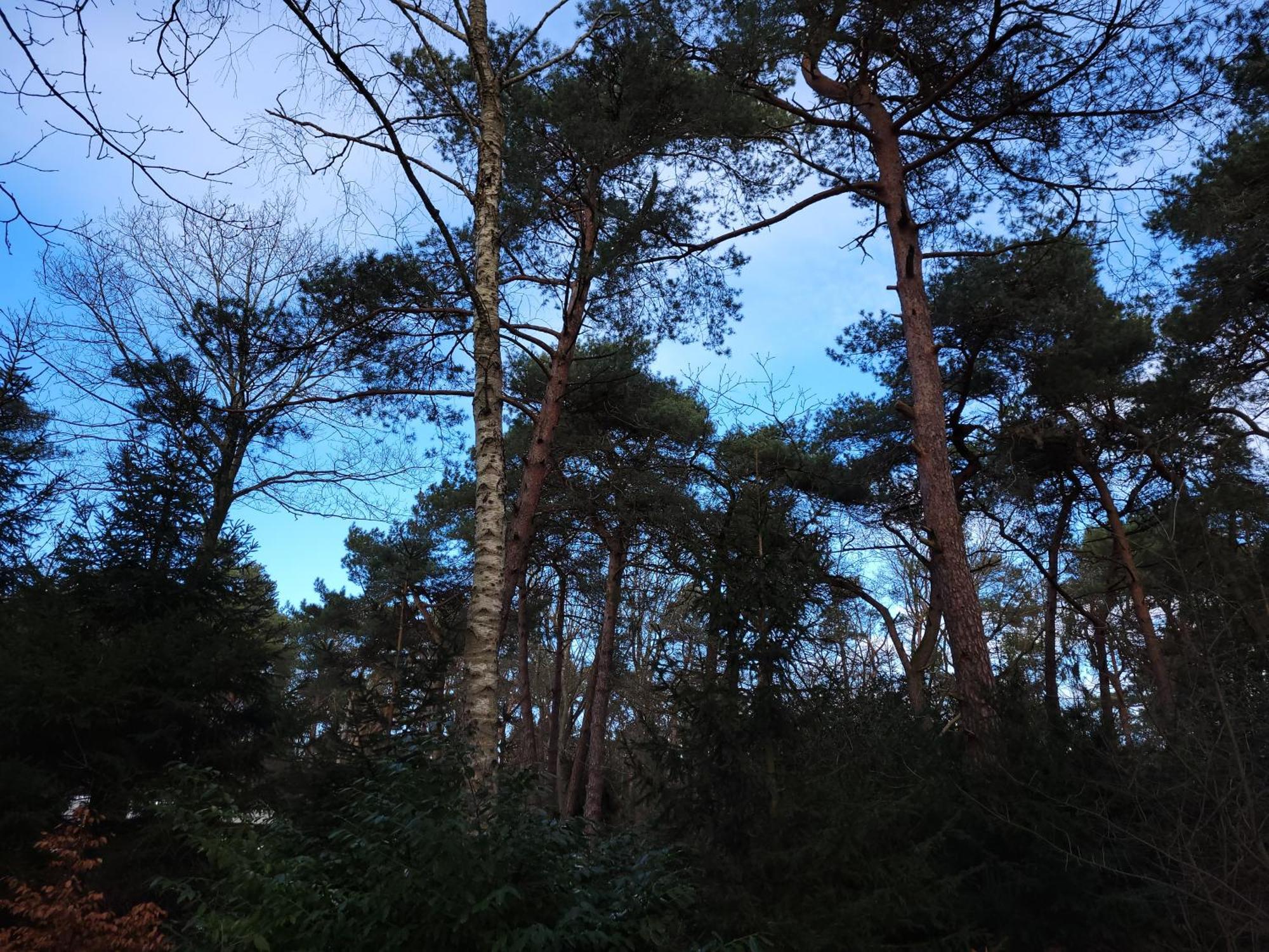 Secret Wellness Puur Natuur Holten Exteriér fotografie